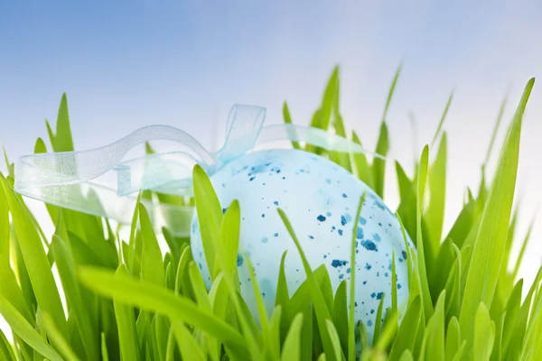 Oeuf de Pâques bleu dans l'herbe verte — Photo