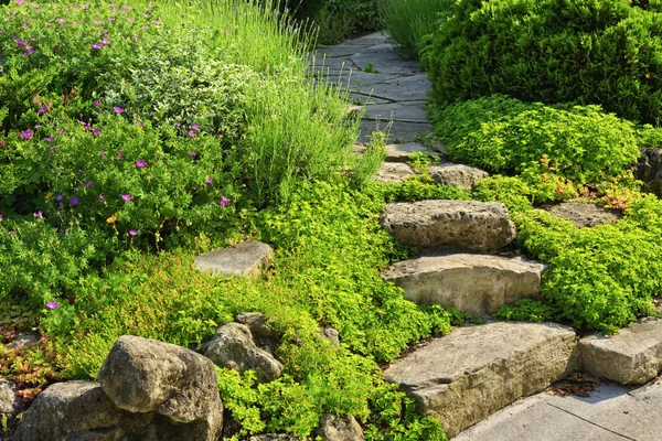 Caminho do jardim com paisagismo de pedra — Fotografia de Stock