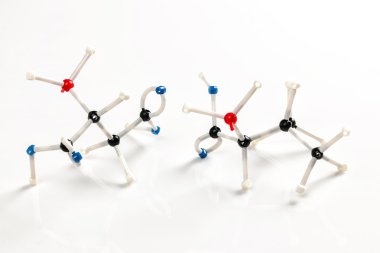 Molecular models of two amino acids clipart