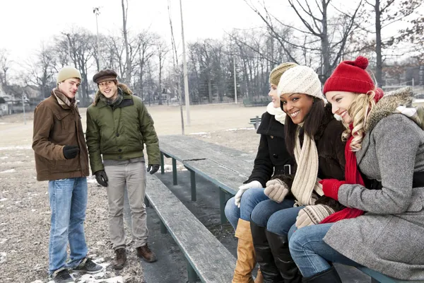 Jovens amigos no parque de inverno — Fotografia de Stock