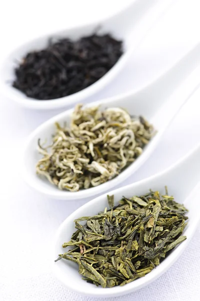 Assortment of dry tea leaves in spoons — Stock Photo, Image