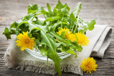Dandelions greens and flowers clipart