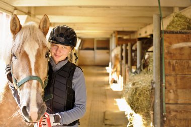 Rider with horse in stable clipart