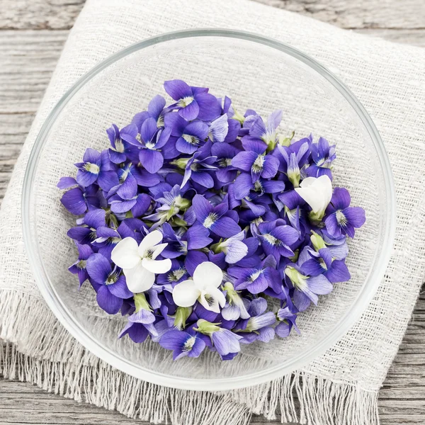 Edible violets in bowl — Stock Photo, Image