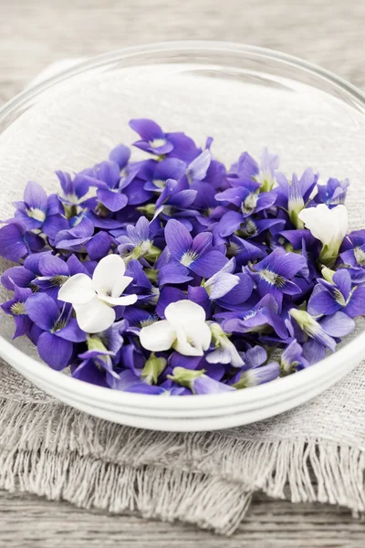 Edible violets in bowl — Stock Photo, Image
