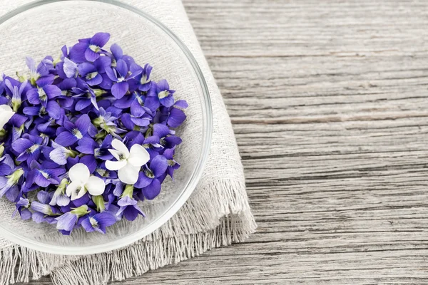 Edible violets in bowl — Stock Photo, Image