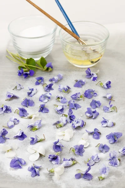 Making candied violets — Stock Photo, Image