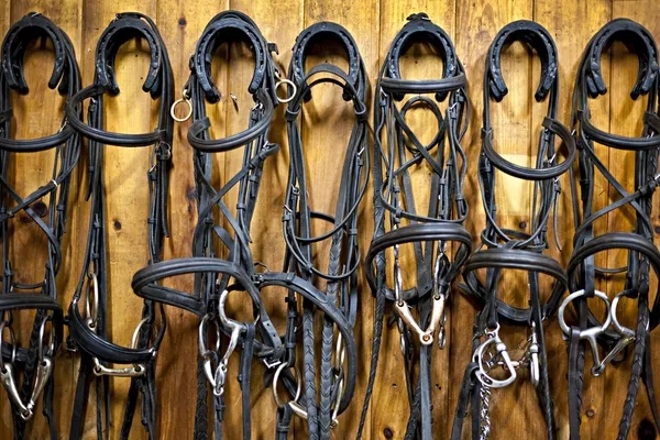 Freios de cavalo pendurados no estábulo — Fotografia de Stock