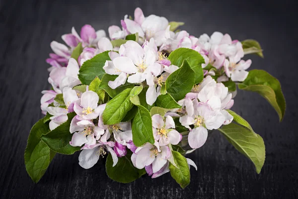 Rosa Apfelblüten — Stockfoto