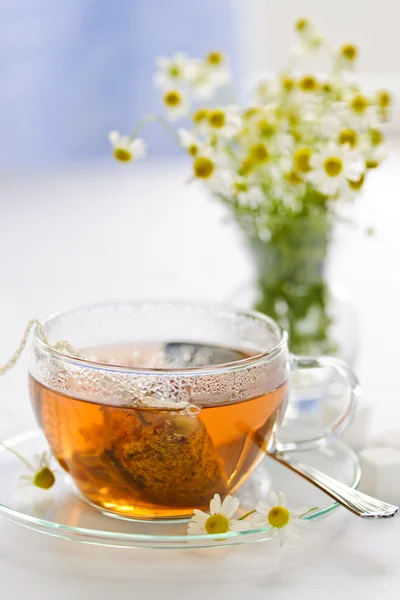 Té de hierbas en taza de vidrio — Foto de Stock