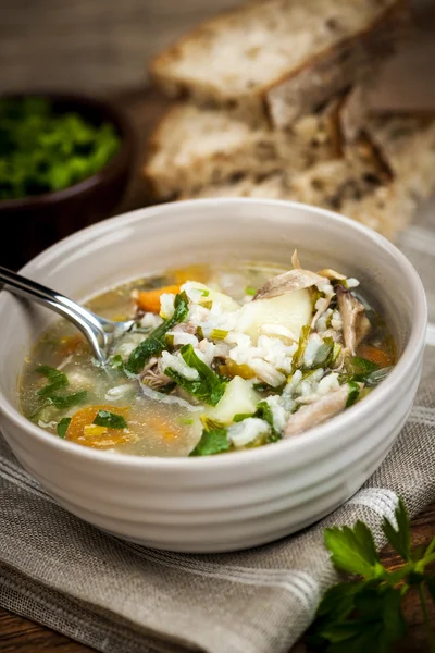Chicken soup with rice and vegetables — Stock Image Chicken soup with rice and vegetables Royalty Free Stock Photos