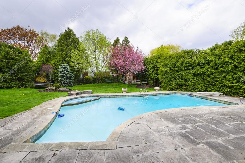 Swimming pool in backyard