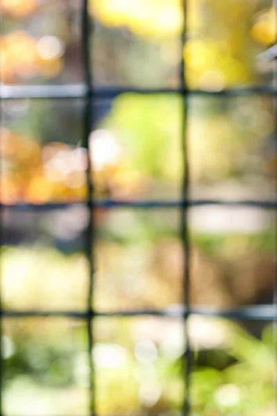 Vue jardin à travers cadre de fenêtre — Photo