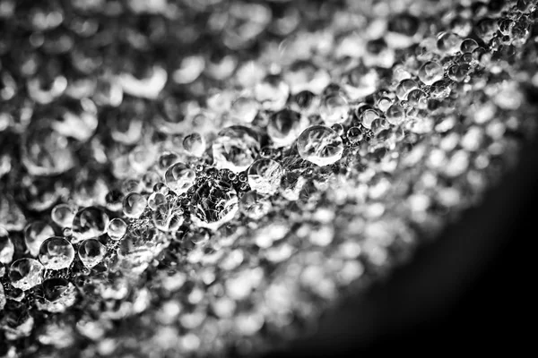 Rocía gotas en el borde de la hoja — Foto de Stock