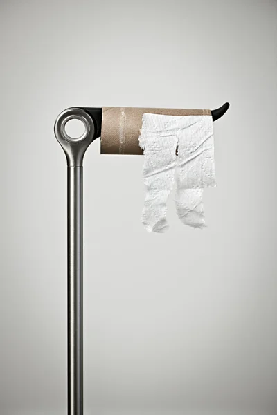 Rouleau de papier toilette vide — Photo