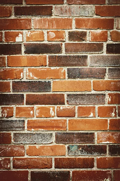 Backsteinmauer Hintergrund — Stockfoto