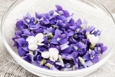 kase yenilebilir Menekşe