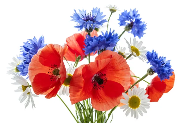 Wildflower bouquet — Stock Photo, Image