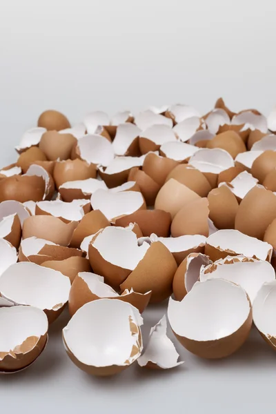 Broken eggshells — Stock Photo, Image