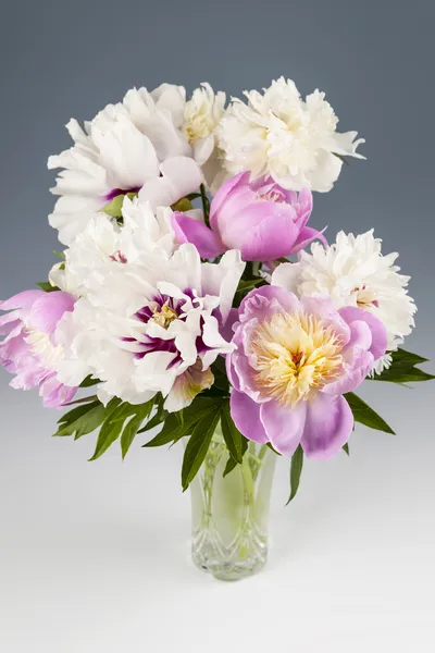 Bouquet de fleurs pivoine — Photo