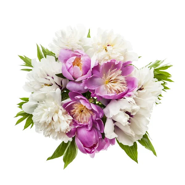 Peony flower bouquet isolated — Stock Photo, Image