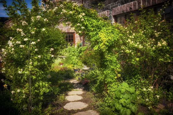 Jardim de verão e caminho — Fotografia de Stock