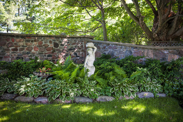Shady perennial garden