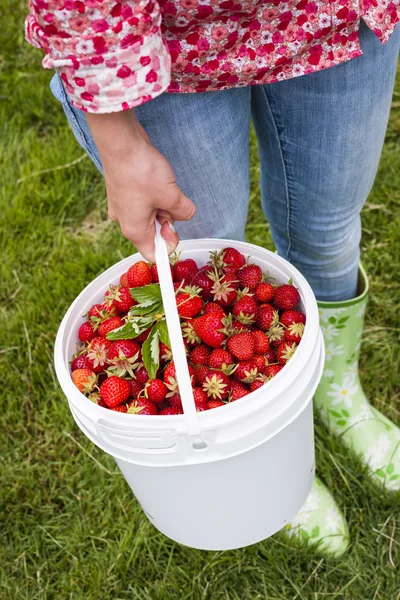 Mujer sosteniendo fresas frescas — Foto de Stock