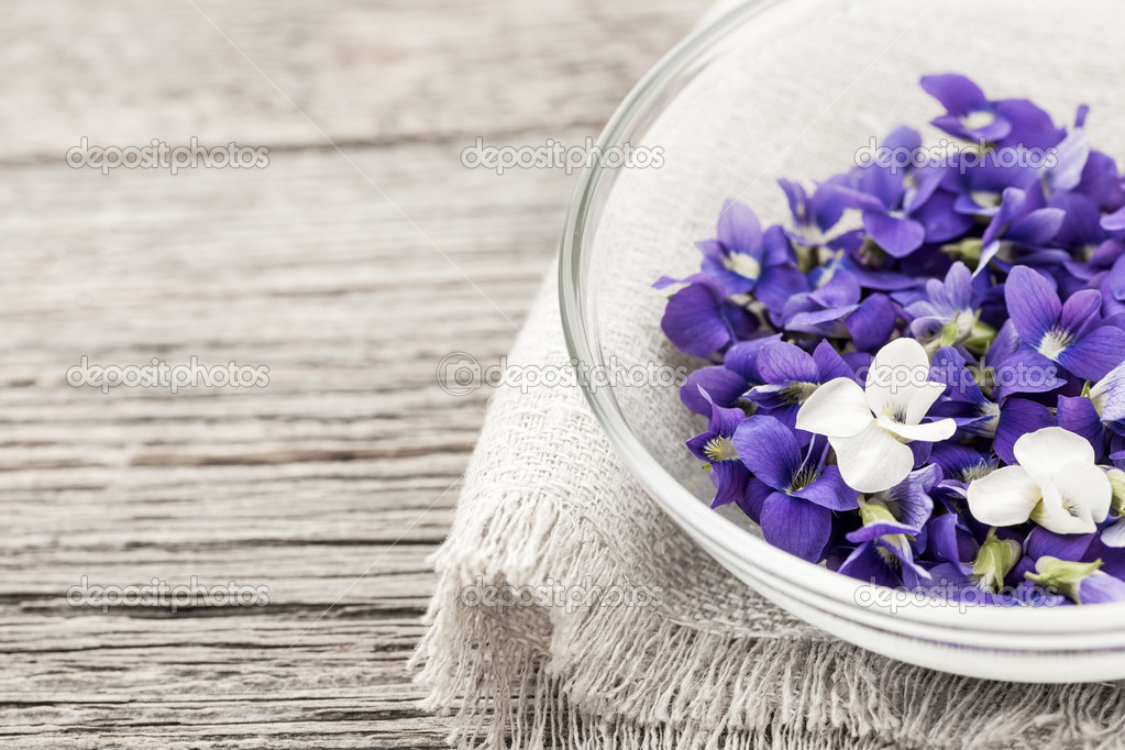 Edible violets in bowl Stock Photo by ©elenathewise 43175121
