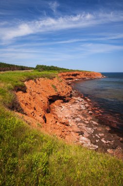 Prince edward Island sahil şeridi
