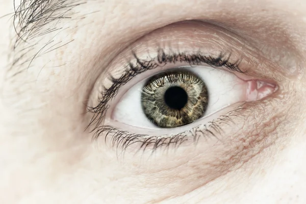 Man eye macro close-up — Stockfoto