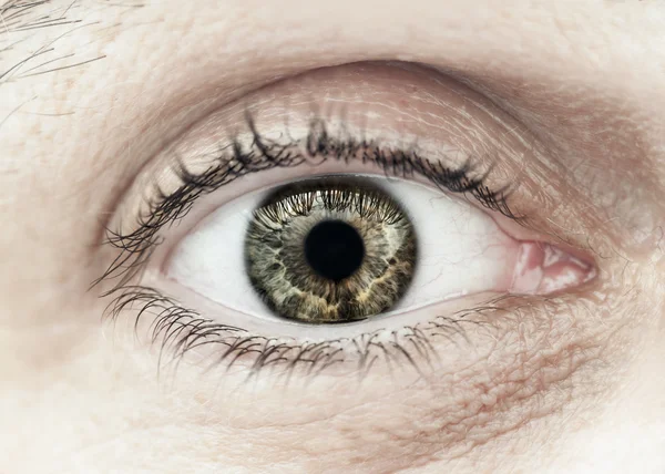 Makro-Nahaufnahme männlicher Augen — Stockfoto