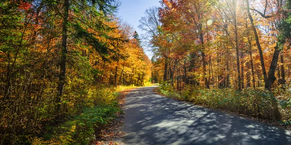 Straße im Herbstwald — Stockfoto