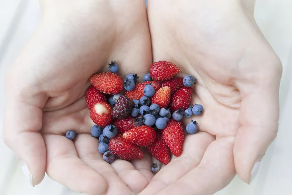 Çilek tutan ellerруки, що тримає ягоди — стокове фото