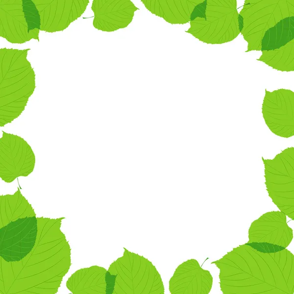 Feuilles vertes cadre sur le fond blanc — Image vectorielle