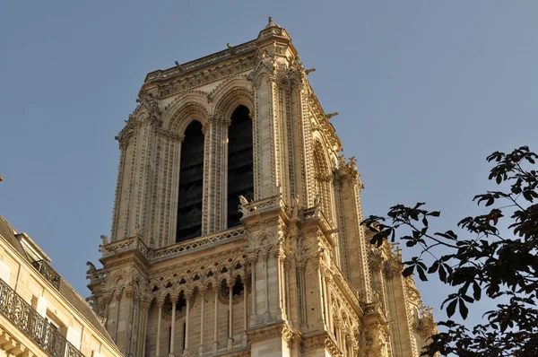 Północnej wieży katedry notre-dame, Paryż, Francja — Zdjęcie stockowe