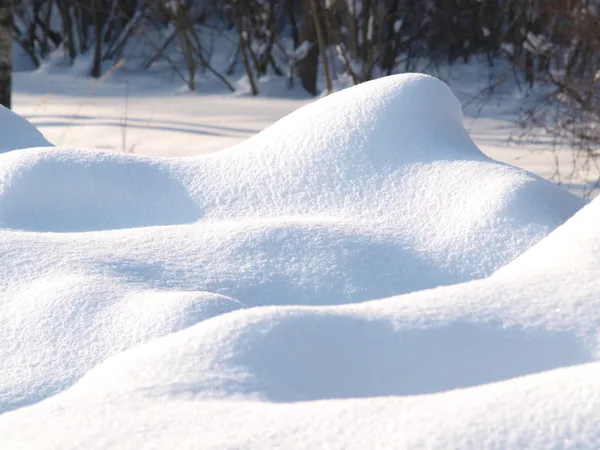 新鲜的雪盖 — 图库照片