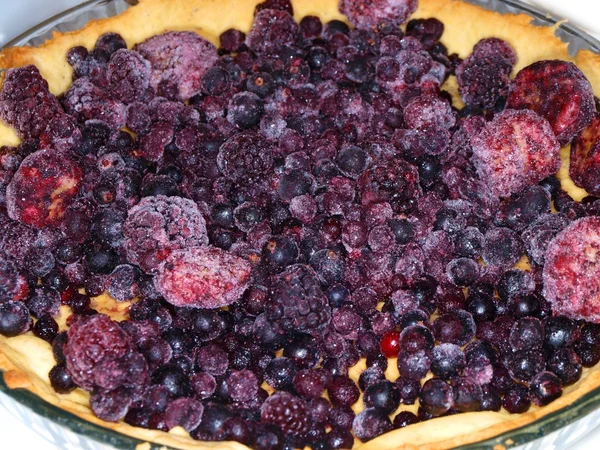 Round pie, dark berries — Stock Photo, Image