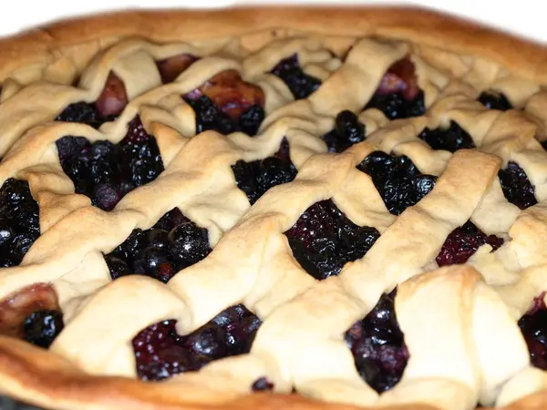 Torta de baga azul escuro fresco — Fotografia de Stock