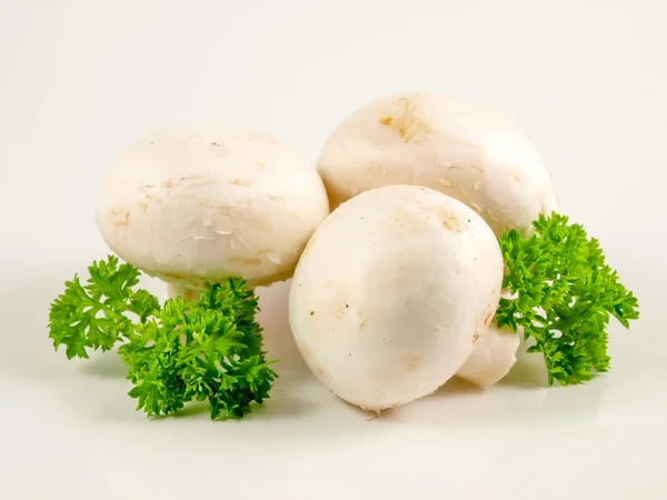Cogumelos de champignon e salsa — Fotografia de Stock