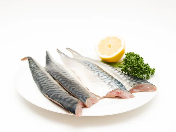 Rå makrill fisk filet — Stockfoto