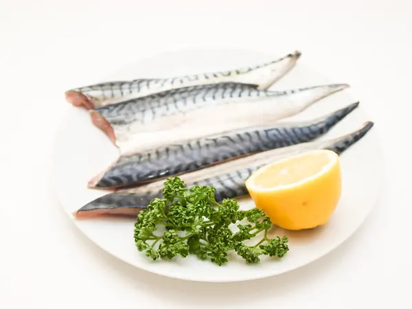 Raw mackerel fish filet — Stock Photo, Image