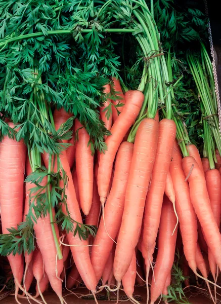 Свежая морковь в стопке — стоковое фото