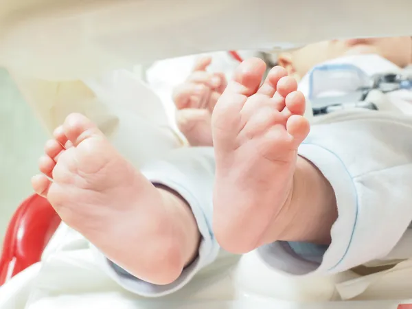 Baby feet — Stock Photo, Image