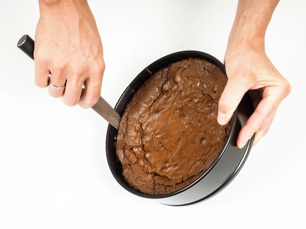 Fresh chocolate cake — Stock Photo, Image