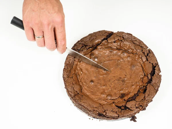 Fresh chocolate cake — Stock Photo, Image