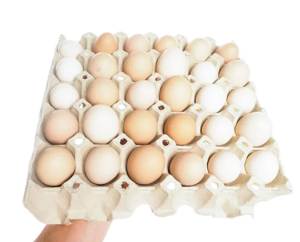 Ovos brancos e marrons em um recipiente, isolados em branco — Fotografia de Stock