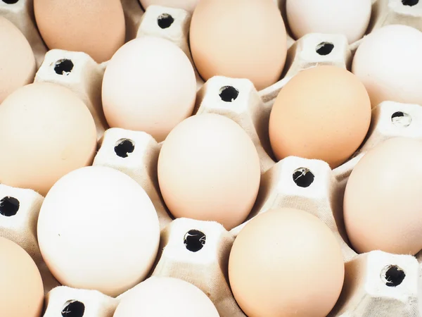 Closeup on farmed brown and white eggs in a container — Stock Photo, Image