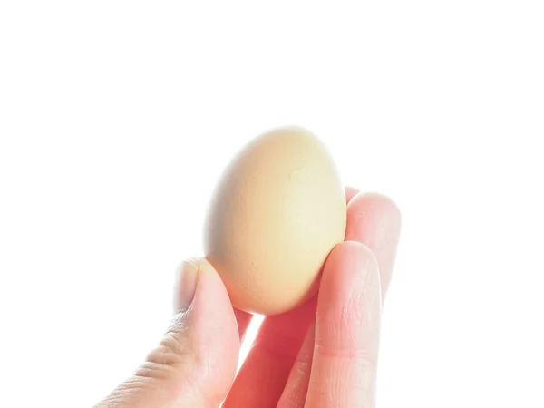 Closeup on farmed brown chicken egg held up by fingers towards w — Stock Photo, Image