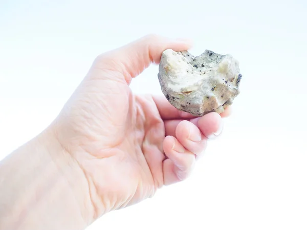 Mannelijke houder van een verse oester Mossel omhoog in de lucht — Stockfoto